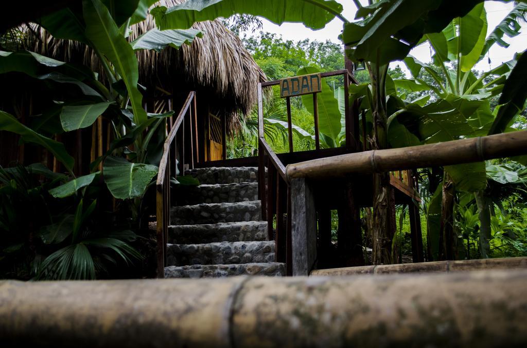 הוילה אל סאינו Tayrona Paradise מראה חיצוני תמונה