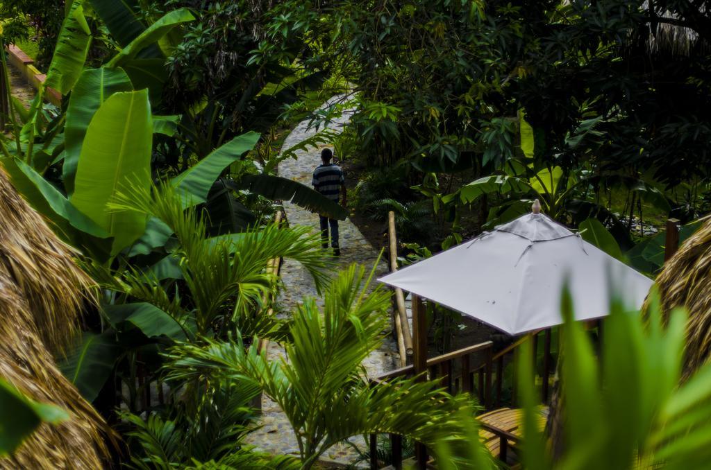 הוילה אל סאינו Tayrona Paradise מראה חיצוני תמונה