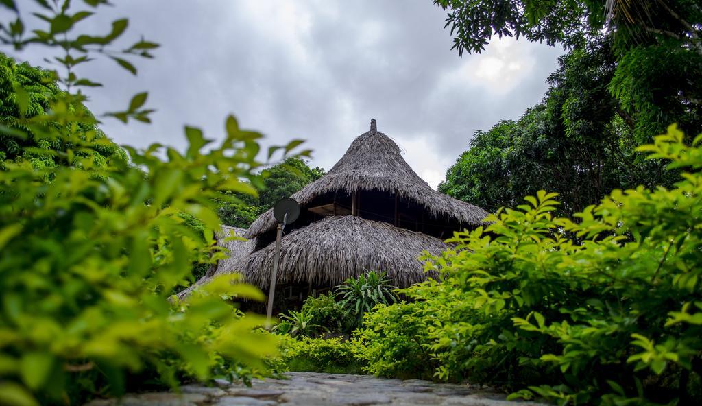 הוילה אל סאינו Tayrona Paradise מראה חיצוני תמונה