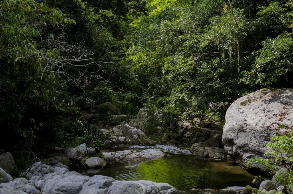 הוילה אל סאינו Tayrona Paradise מראה חיצוני תמונה