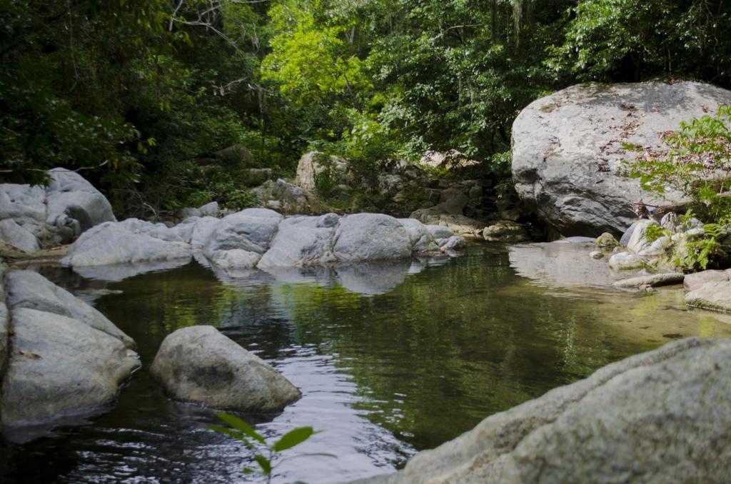 הוילה אל סאינו Tayrona Paradise מראה חיצוני תמונה