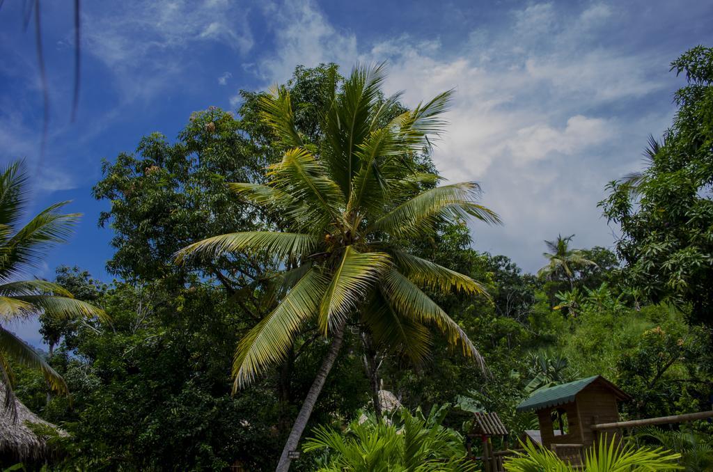 הוילה אל סאינו Tayrona Paradise מראה חיצוני תמונה