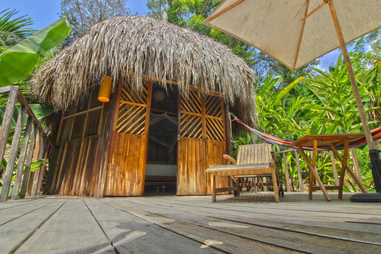 הוילה אל סאינו Tayrona Paradise מראה חיצוני תמונה