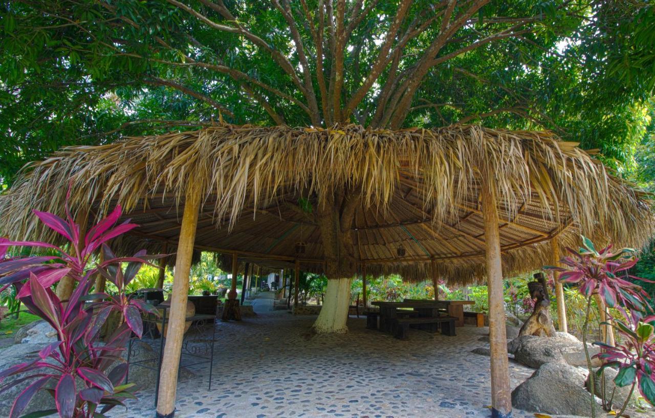 הוילה אל סאינו Tayrona Paradise מראה חיצוני תמונה